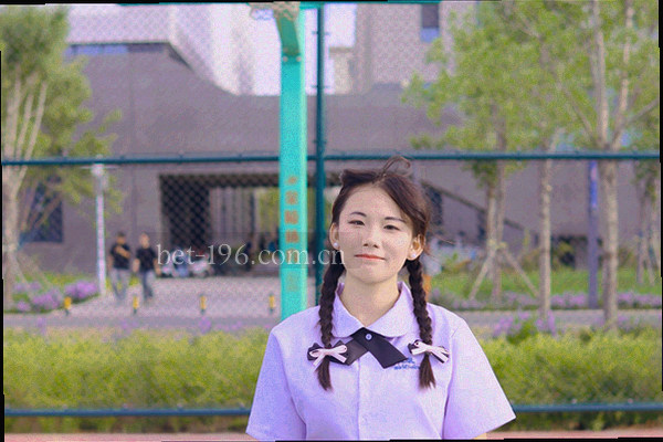 数据表格和图表混合拼贴